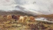 Louis bosworth hurt Highland Cattle on the Banks of a River (mk37) china oil painting reproduction